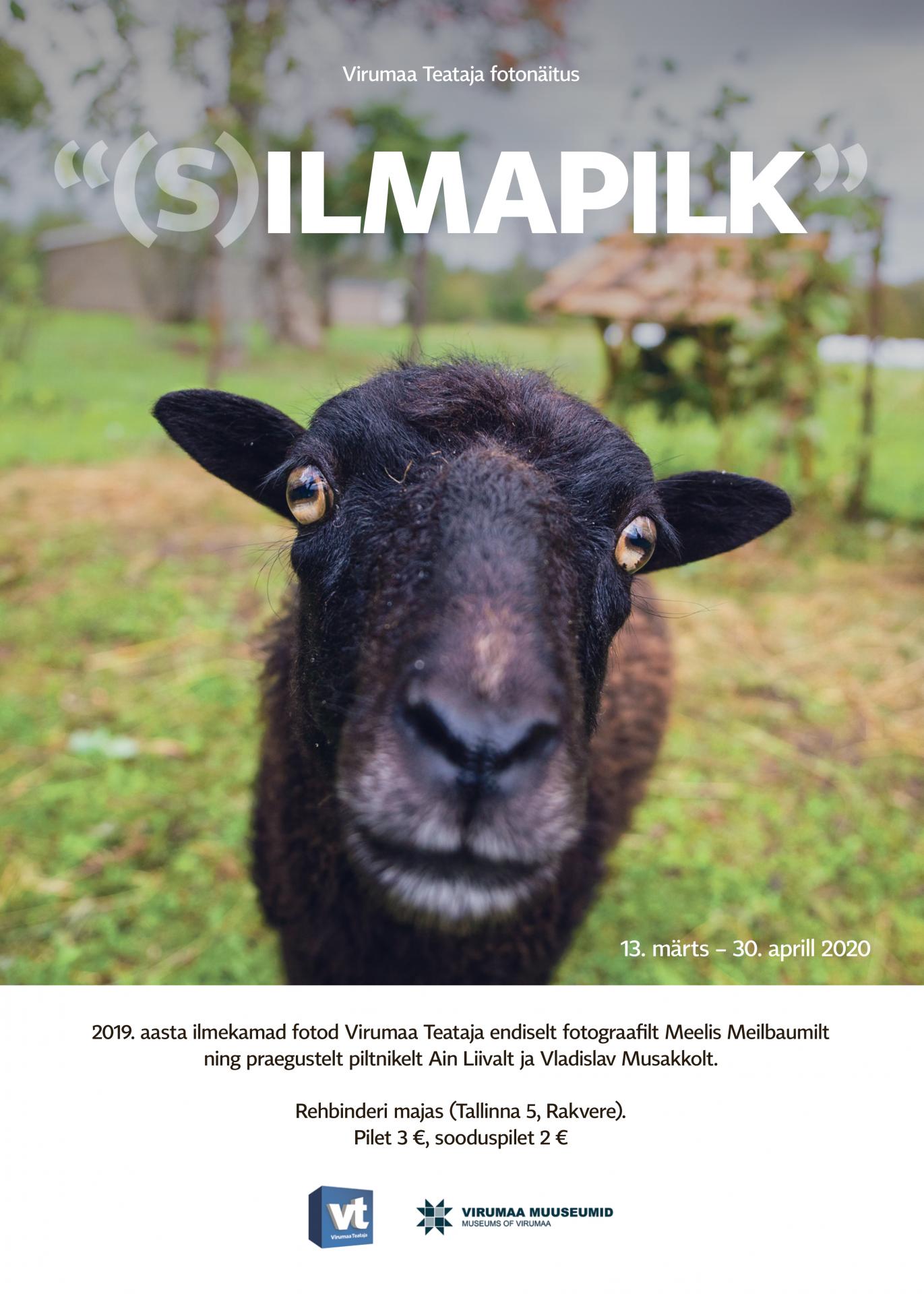 silmapilk näitus